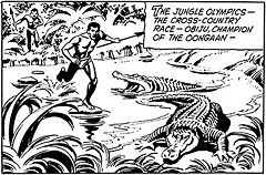 Olympics crosscountry.jpg
