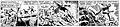 Thumbnail for version as of 09:15, 1 August 2012