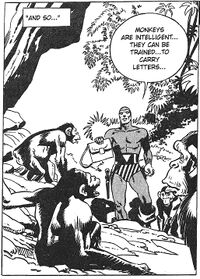The Messengers of the Jungle.jpg