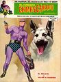 El Hombre Enmascarado 13 (Vértice) cover