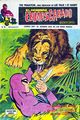 El Hombre Enmascarado 30 (Vértice) cover